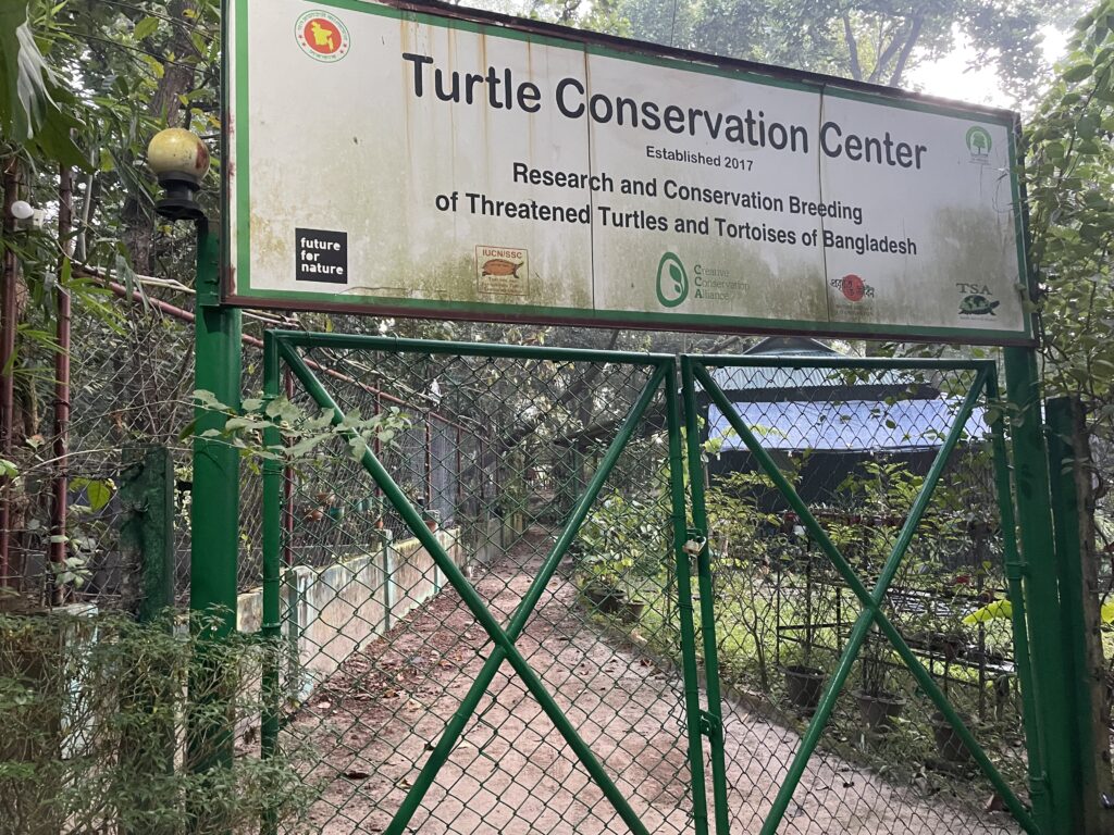 Tortoise conservation center