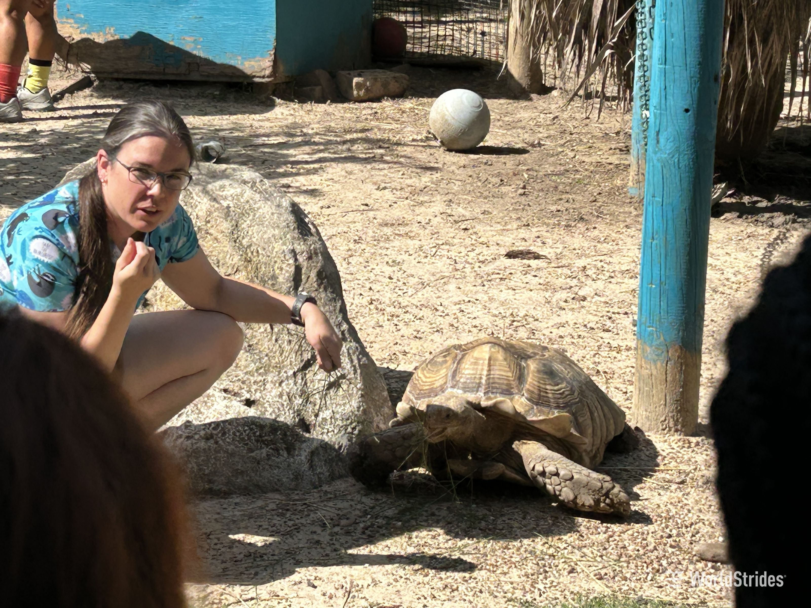 teaching abroad